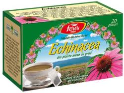 Fares Ceai Fares Echinacea 20 plicuri/cutie (DFAR20X1GECHIN)
