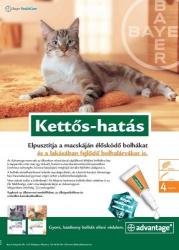 Advantage Bayer Advantage 40 spot on oldat 4 db ampulla A fotó illusztráció , cicára és nyuszira
