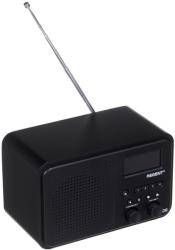 Ferguson Regent i100 DAB