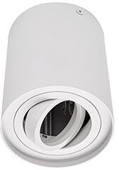 LED Labs Falon kívüli spot lámpatest TUBE, henger, billenthető, fehér (GU10) (MG-TUBE-NSRO-B (20-2110-26))