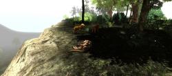 Strategy First Untamed Life of a Cougar (PC)