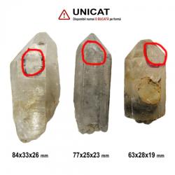  Cuart Enhydro 1 Varf Brut Natural - 63-84 x 25-33 x 19-26 mm (XXL) - 1 Buc