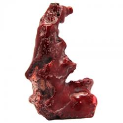  Coral Rosu Natural - 132 x 76 x 46 mm- (XXL) - Unicat