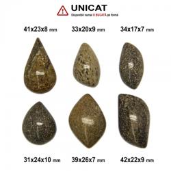 Cabochon Fosil Os de Dinozaur - 31-42 x 17-26 x 7-10 mm
