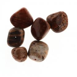  Fosil Coral Rulat Natural cu Gaura 13-17 x 12-16 mm ( S ) - 1 Buc