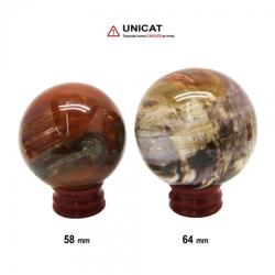 Sfera Fosil Lemn Mineral Natural 60-72 x 60-72 mm - 1 Buc