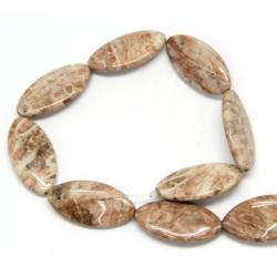 Margele Bijuterii Fosil Coral Oval 40 x 21 mm