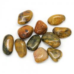  Nelit (Pietersit cu Ochi de Tigru) Rulat 18-26x12-20 mm 1 Buc