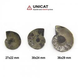 Fosil Ammonit Cleoniceras Opalizat Druzy Natural 26x22x5 cm - Unicat