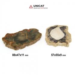 Mineral Natural Lemn Fosil 57-88 x 47-55 x 9-11 mm ( XXL) - Unicat