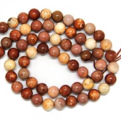 Fosil Coral Margele Pietre Semipretioase Rotunde - 10 x 10 mm - concepttropic - 66,00 RON