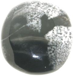  Cabochon Apal dendritric alb rotund 30.5 x 7 mm