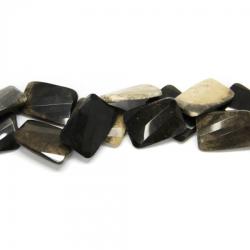  Fosil Lemn Palmier Dreptunghi Fatetate - 34 x 24 mm