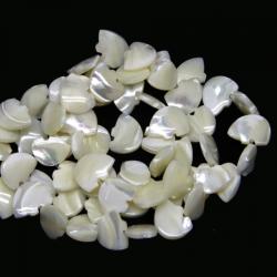  Sidef Margele Pietre Semipretioase Animal -13 x 17 x 4 mm