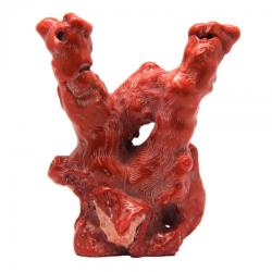  Coral Rosu Natural - 140 x 118 x 42 mm- (XXL) - Unicat