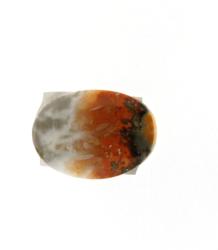 Cabochon Jasp Bumble Bee oval 22 x 0.4 mm - 1 Buc