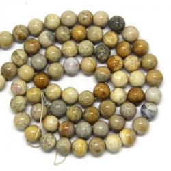  Coral Fosil Rotund Margele Pietre Semipretioase pentru Bijuterii 10x10 mm