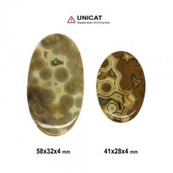  Cabochon Jasp Oceanic 41-58 x 28-32 x 4 mm