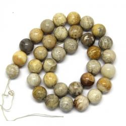 Coral Agatizat Fosilizat Margele Pietre Semipretioase Rotund 12 mm