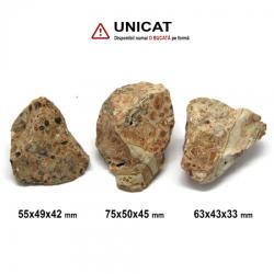  Jasp Leopardit Natural Brut - 55-75 x 43-50 x 33-45 mm ( XXL ) - 1 Buc