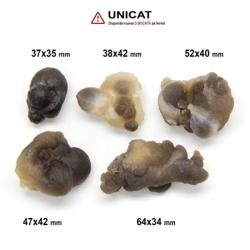  Piatra Bruta Calcedonie Nodular Maroc 37-64 x 34-42 mm - 1 Buc