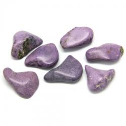  Stichtit Natural Rulat - 39-43 x 24-29 x 11-17 mm - ( XL ) - 1 Buc