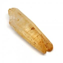  Cuart Lemurian Fumuriu Brut cu Suport 91-131 x 44-70 x 28-41 mm ( XXL ) - Prezenta impunatoare pentru decor interior, cadou special si colectie - 1 Buc