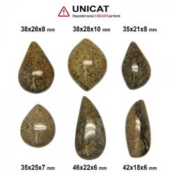  Cabochon Fosil Os de Dinozaur - 35-46 x 18-28 x 6-10 mm