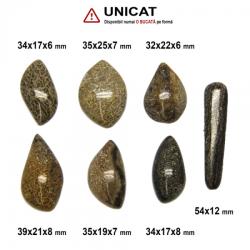  Cabochon Fosil Os de Dinozaur - 32-54 x 12-25 x 6-8 mm