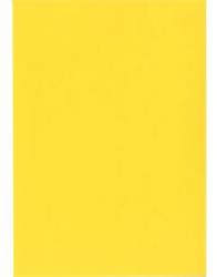  Névjegykarton A/4 bőrhatású 270 gr. napsárga színű (2700)