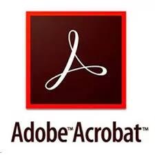 Adobe Acrobat Standard for Enterprise, Licenta Electronica, 1 an, 1 utilizator (65322607CA01A12)
