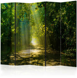 Artgeist Paraván - Road in Sunlight II [Room Dividers]