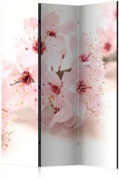 Artgeist Paraván - Cherry Blossom [Room Dividers]