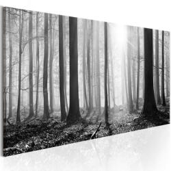 Artgeist Kép - Black and White Forest