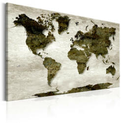 Artgeist Kép - World Map: Green Planet