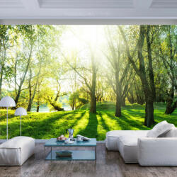 Artgeist Fotótapéta - Sunny May Day - terkep-center - 36 540 Ft