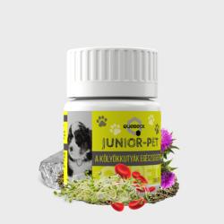 Quebeck Junior-PET immunerősítő tabletta kölyökkutyáknak 90db