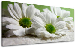  Tablouri canvas FLORI Panorama KV111E13 (tablouri moderne pe) (XOBKV111E13)
