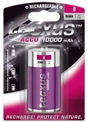 tecxus Acumulator D R20 1.2V 10000mAh Tecxus (23741) Baterie reincarcabila
