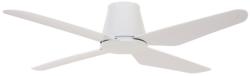 Lucci Air 212999