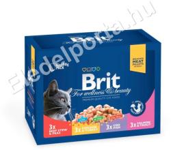 Brit Premium Cat Family Plate 12x100 g 1.2 kg