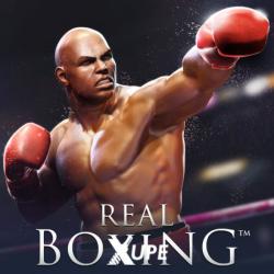 Vivid Games Real Boxing (PC)