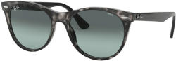 Ray-Ban Wayfarer II Evolve RB2185 1250AD