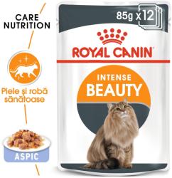 Royal Canin Intense Beauty Pouch Jelly 12 x 85g