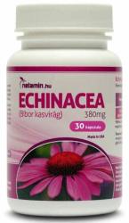 Netamin Echinacea 380 mg (30 caps. )
