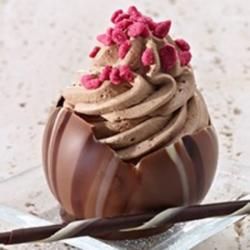 Cupe de ciocolata Callebaut 16 buc