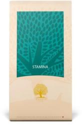 Essential Foods Stamina 12,5 kg