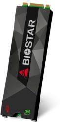 Silicon Power Biostar M500 1TB M.2 NVMe (SE160PMG3T)