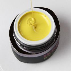 Brillbird Brush&Go színes zselé - GO 111 - 4, 5ml TF