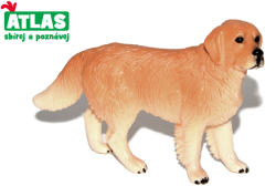 Atlas Câine de retragere de aur (WKW101853)
